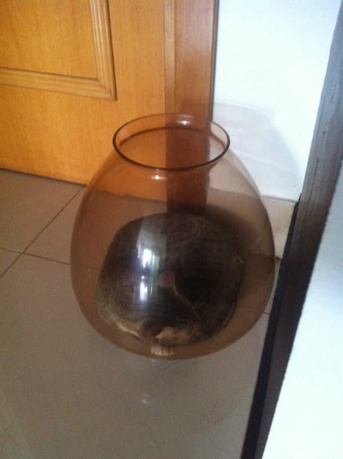 8. Anti-social Nap Behavior