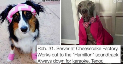 10+ Hilarious Dog Bios That Represent Stereotypical People We're All Very Familiar With