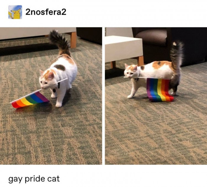 13. Fabulous