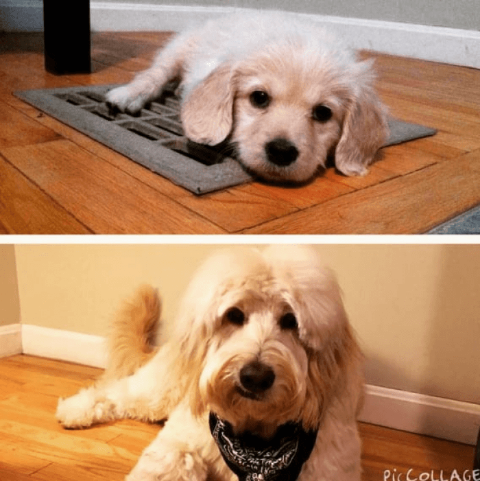 He looks so different!