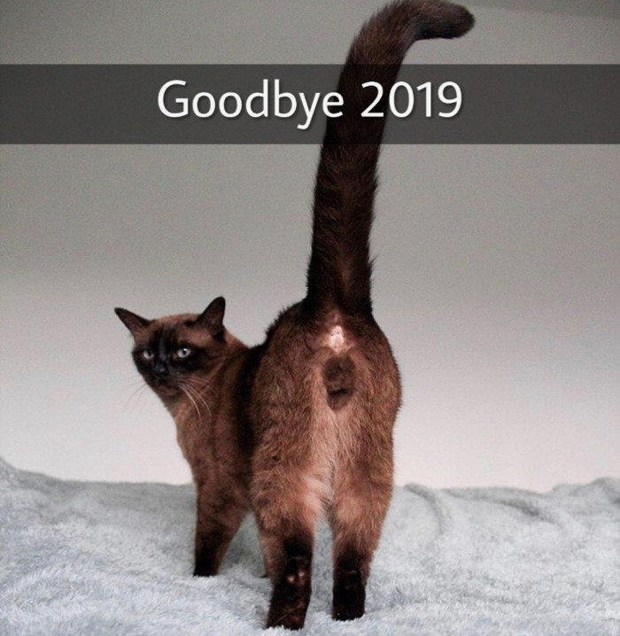 Cola is shaking her tush in 2020.