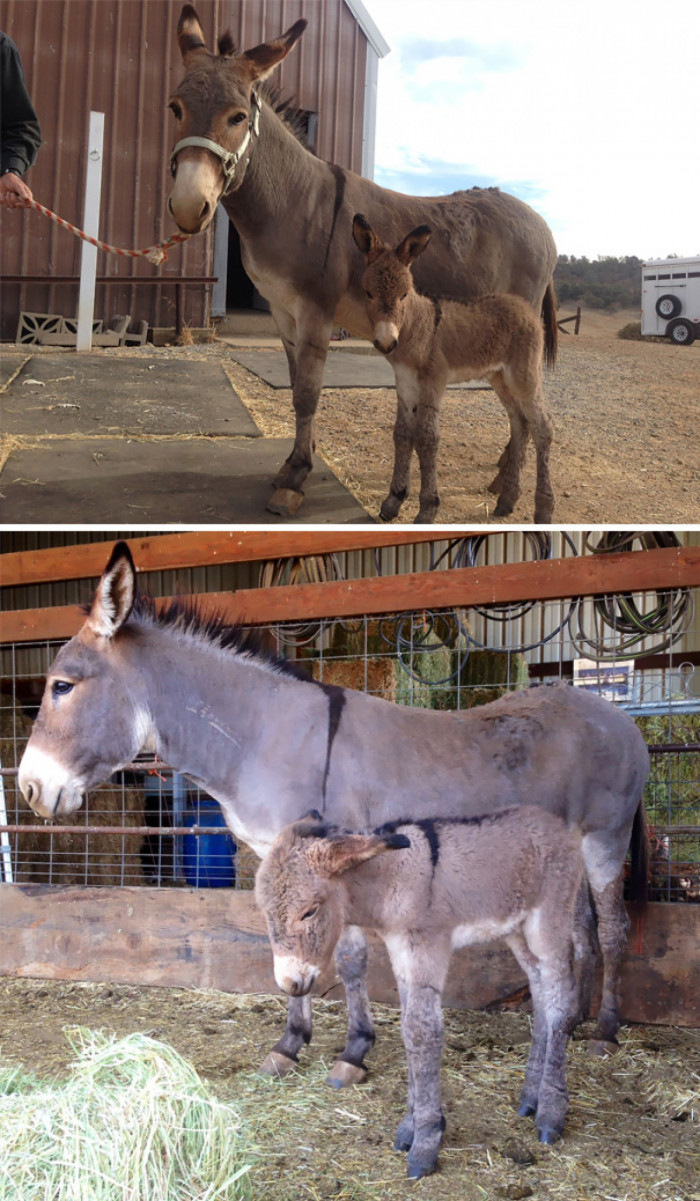 Mom and baby Apple!