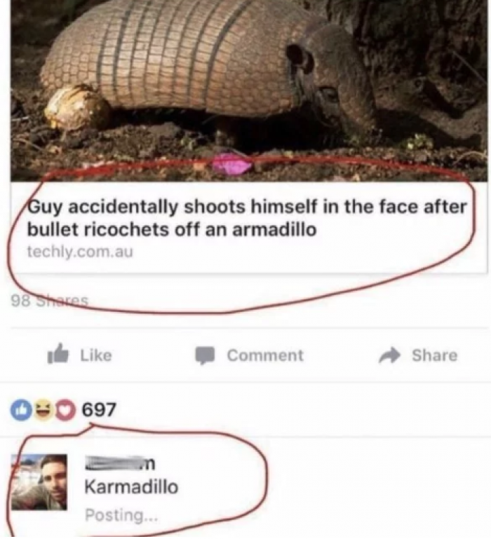 Instant Karmadillo
