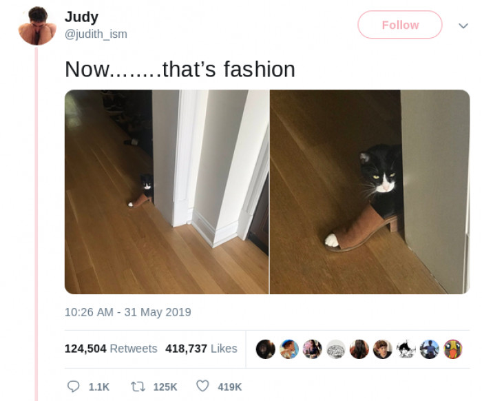 He ought to strut his stuff on the catwalk.