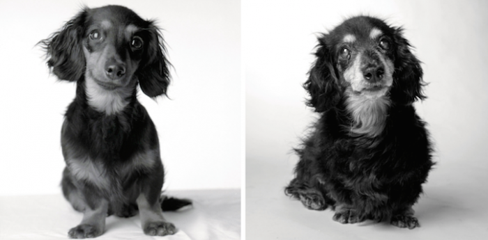 6. Lily, 8 months and 15 years.