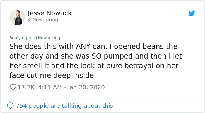Close-up of a cat face reacting intensely to canned tuna