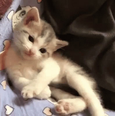 "Look at Deez Toe Beanz, LOOK AT DEM."