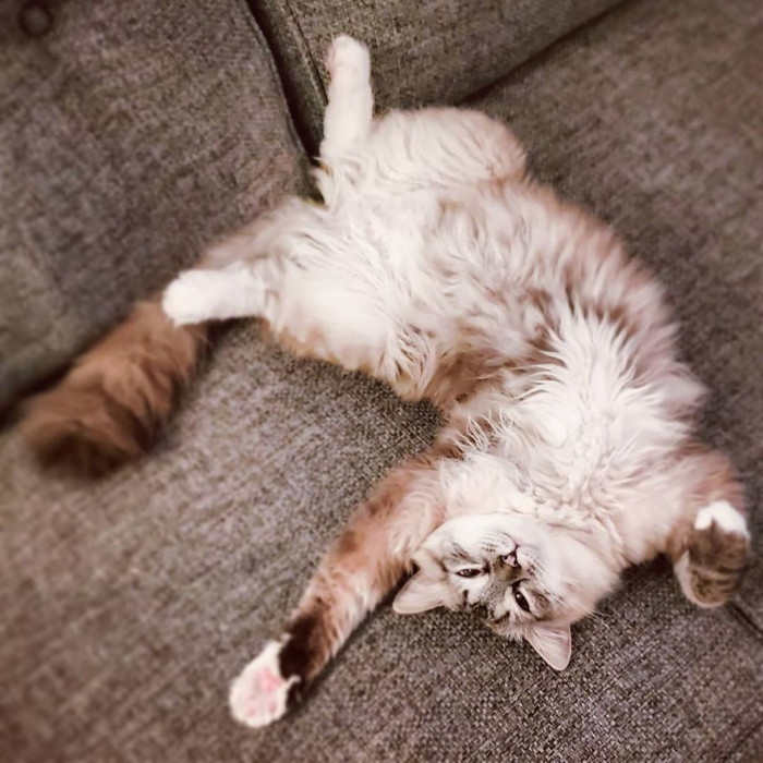 Last December for Dinah's