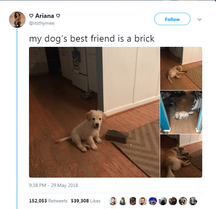 Friendship knows no boundaries.