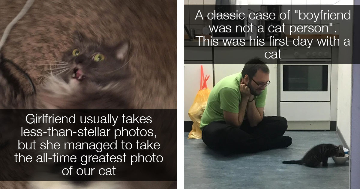 15 Cat Posts That Might Just Brighten Your Day No Matter What You're Going Through Right Now