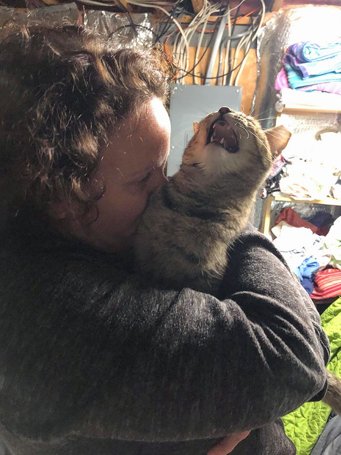 21. "My Mom Is Giving Rei Kisses and She Is Having None of It" You can almost hear this cat's bellowing meow.