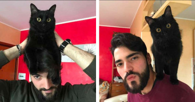 Thoughtful Cat Lets Her Owner Know When He’s Had Enough To Eat - By Slapping Him