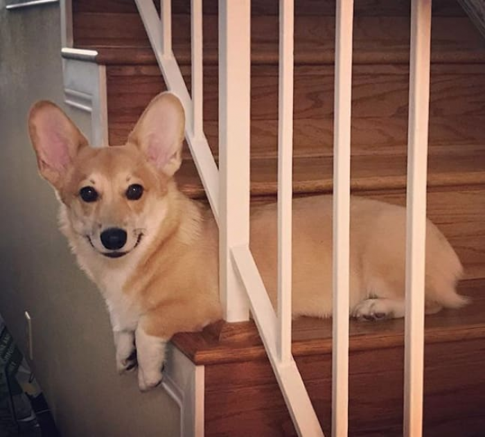 1. Stair smiles!