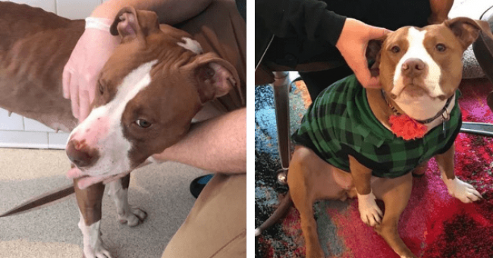 3. This is the difference love makes!