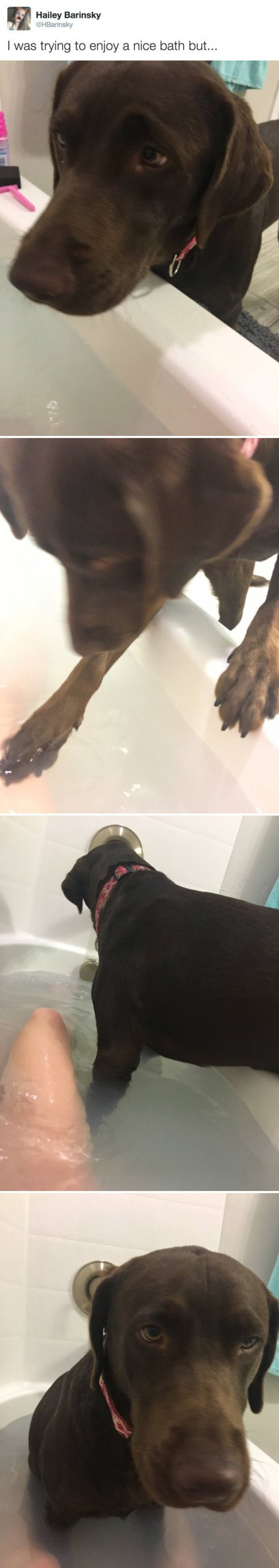 I really do mean EVERYTHING.