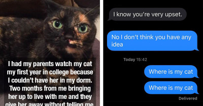 Cat Of College Kid Secretly Given Away By Their Parents, Leaving The Young Adult Heartbroken