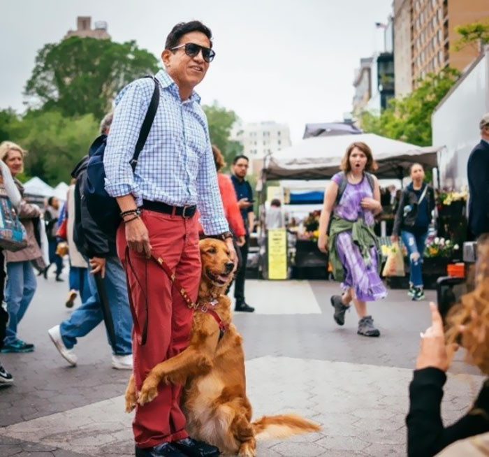 Golden Retriever Is On A Mission To Hug Everyone She Meets On The Streets of  New York City