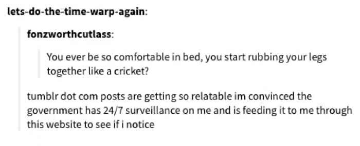 Tumblr Surveilance