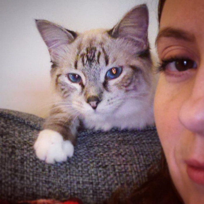 Rebecca adopted Dinah, giving her the purr-fect home for such a sweet kitty!