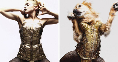 This Photographer Uses His Dog to Recreate Iconic Madonna Photos, and the Results Will Blow You Away