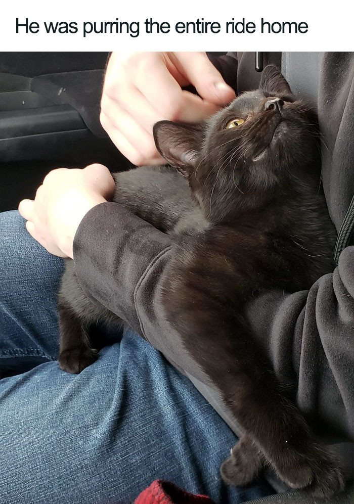 41. A face that screams gratitude.