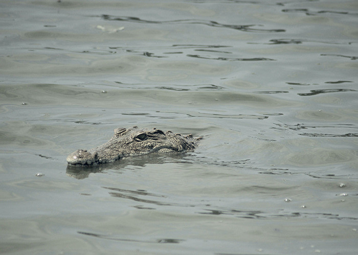 9. Don't you know where you came?