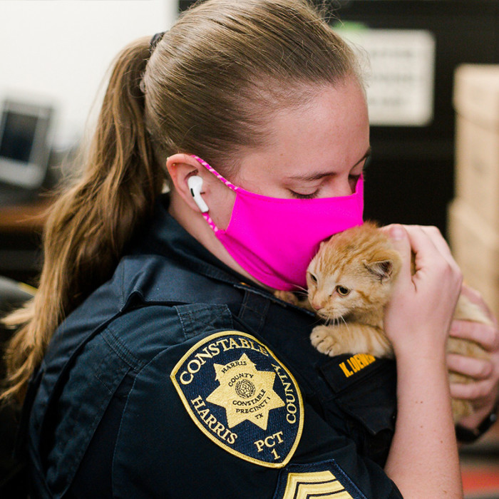 The Cat Is in Good Shape