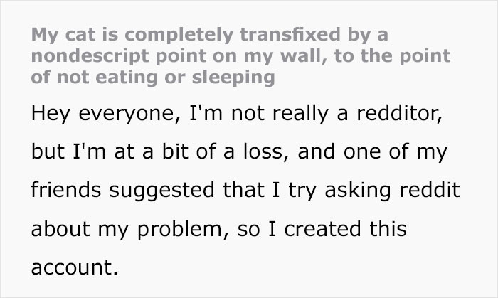 But all changed one day, and he became fixated on one particular wall in his owner's home.