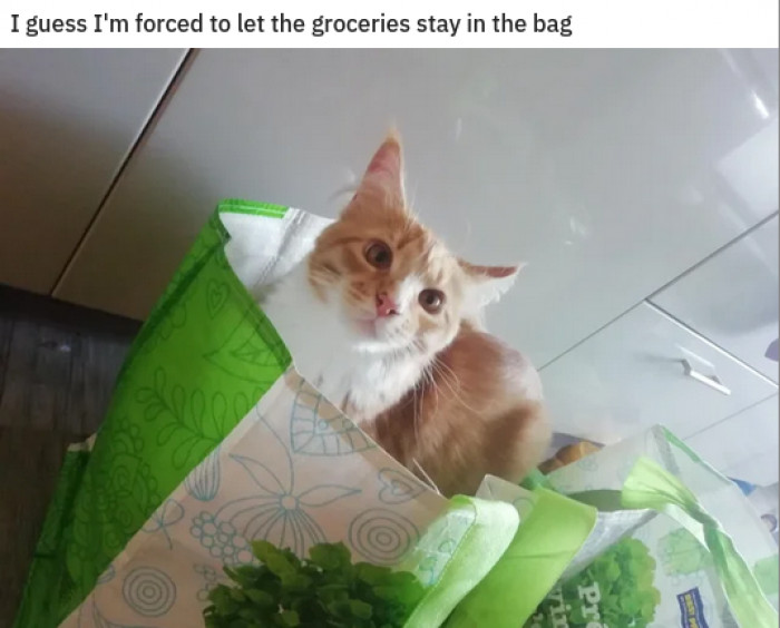 16. Well, you certainly can't be mad at that face.