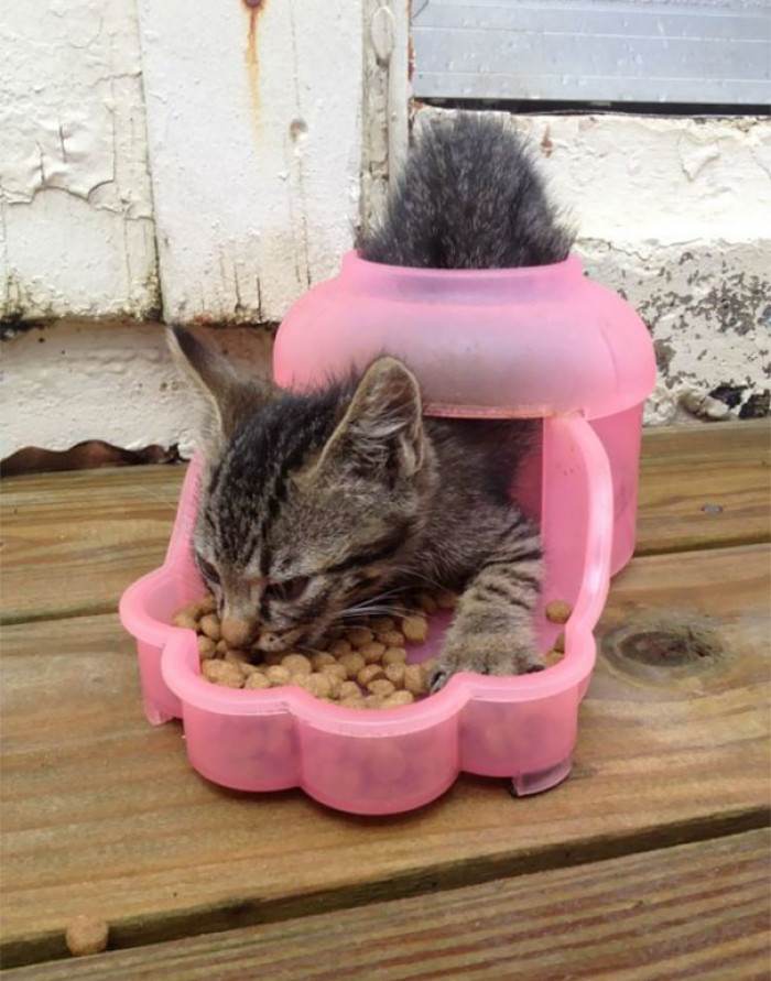 Buddy, you're definitely doing it wrong.