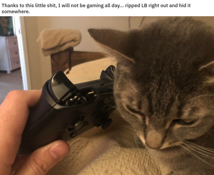 19. She wanted all of your attention today, obviously.