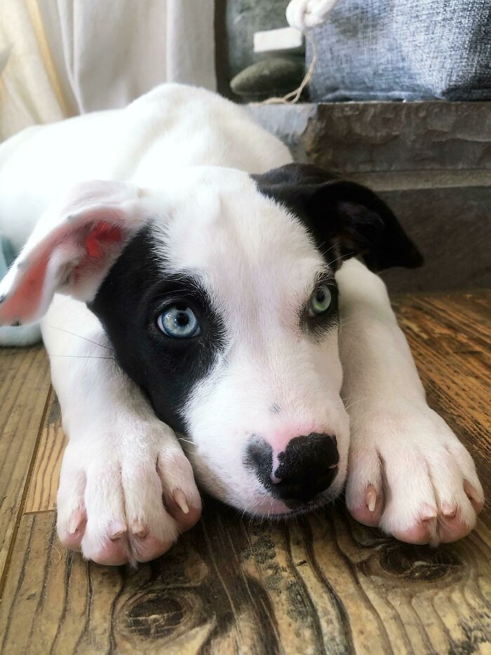33. Melting my heart!