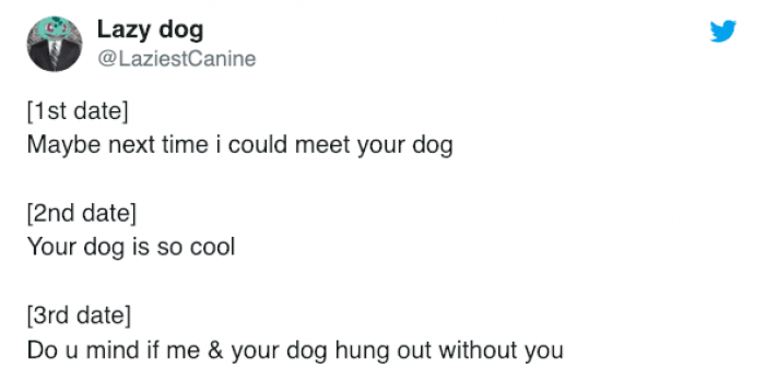 ... bring the dog!