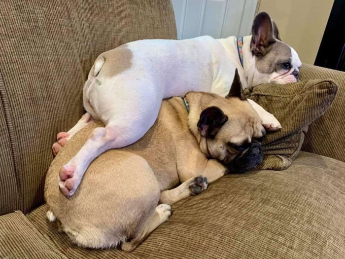 Now, three years later, it's nice to see that not much has changed about Frannie and Trixie's relationship.