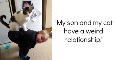 Hilarious Photos Of Cats Doing What Cats Do Best: Not Giving A Crap About Human Rules