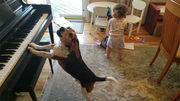 Baby girl dancing with musical instruments as Buddy Mercury watches from floor