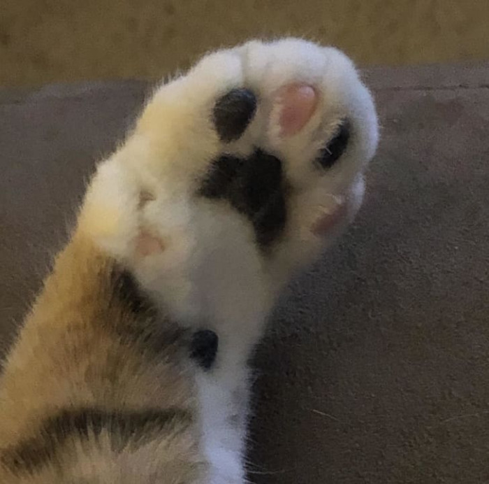 12.