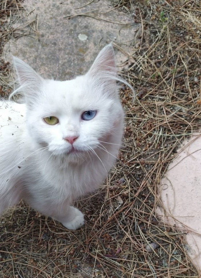 13. Aww, these eyes.