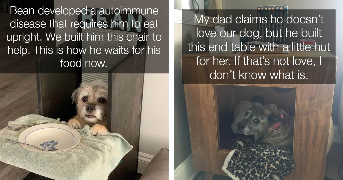 13+ Photos That Prove People Love Pets More Than People