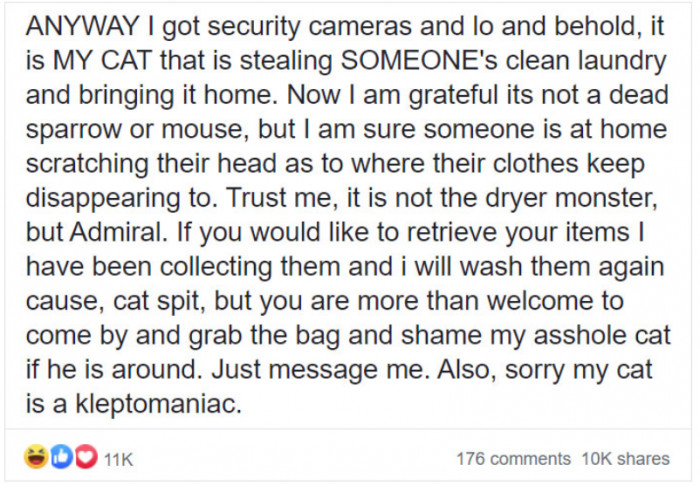 So she got security cameras, and it turns out it was the cat all along!