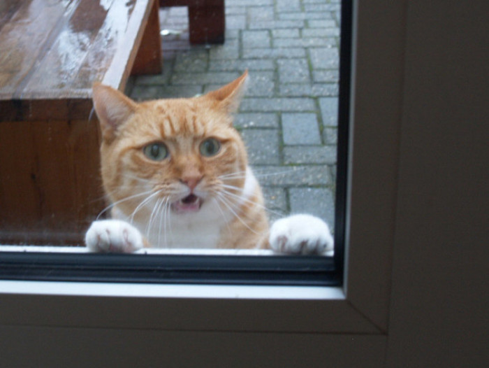 24. Is that food I'm smelling?