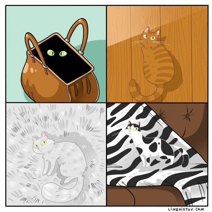 20. We swear they have the best camouflage skills when you need to find them