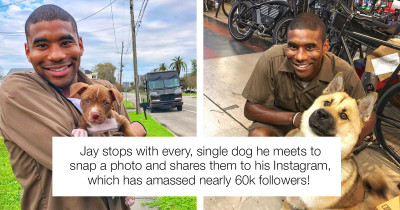 UPS Driver Takes Photos At Work With Every Dog He Sees And We LOVE It