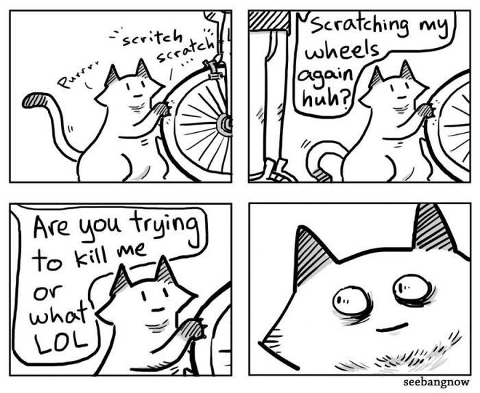 10+ Hilarious Comics That Illustrate Perfectly What It's Like To Have a Cat