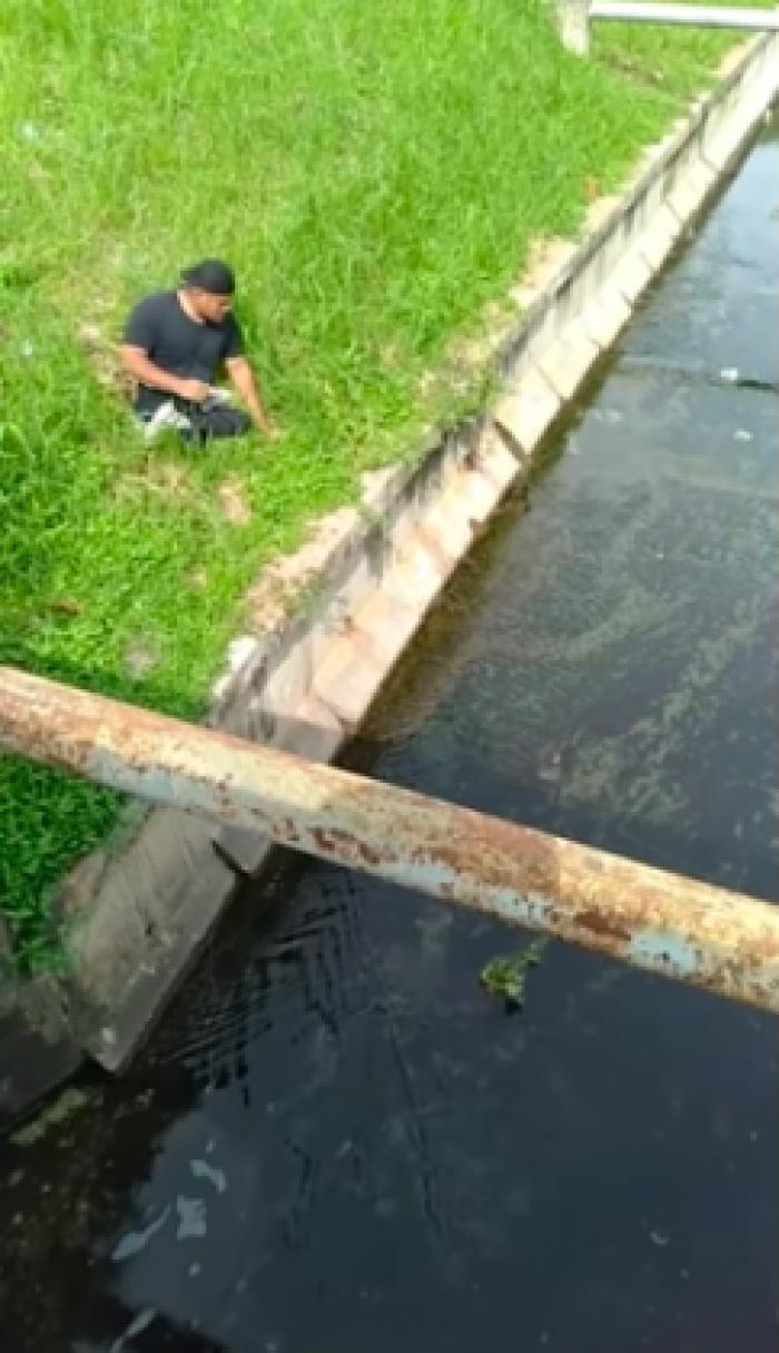 This man is out of his wheelchair and reaches the edge to grab the little kitten.