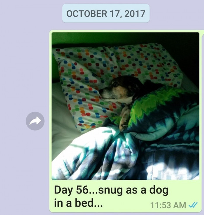 Day 56.