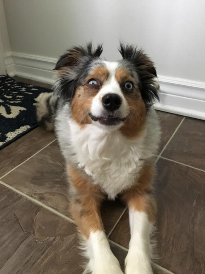 He's got the crazy eye.