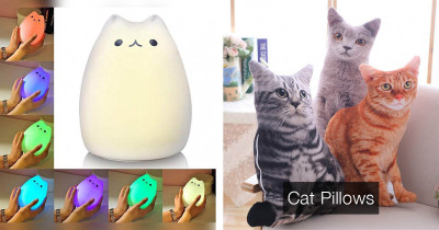 Pawsitively Adorable Cat-Designed Products You're Going To Obsess Over