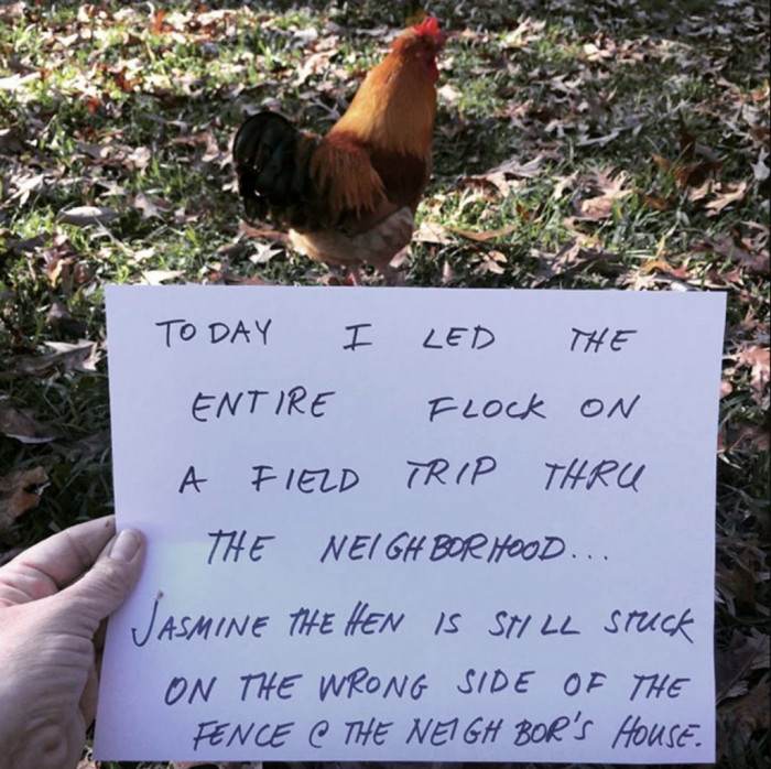 5. The Crime Boss in the Flesh!