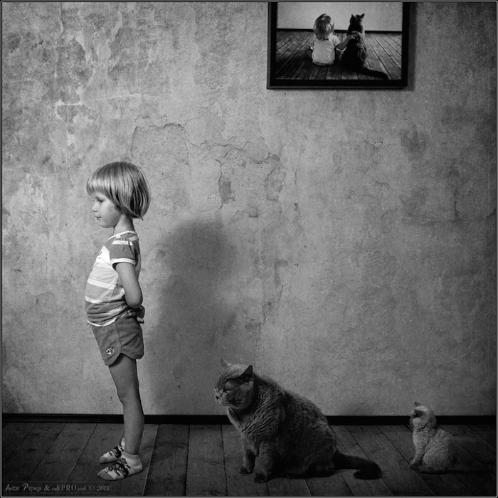 All such settings have enhanced the portrayal of the relationship between the girl and her cats.